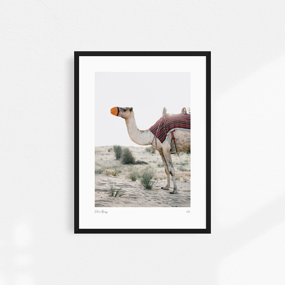 Thumbnail: Fine Art Print Camel in the Dunes by Celine