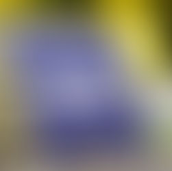 이웃집 오픈 하우스, 단순한 호기심이 아니라 전략이다