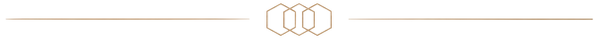 Decorative divider element