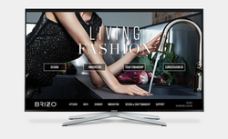 Brizo Website Concepts