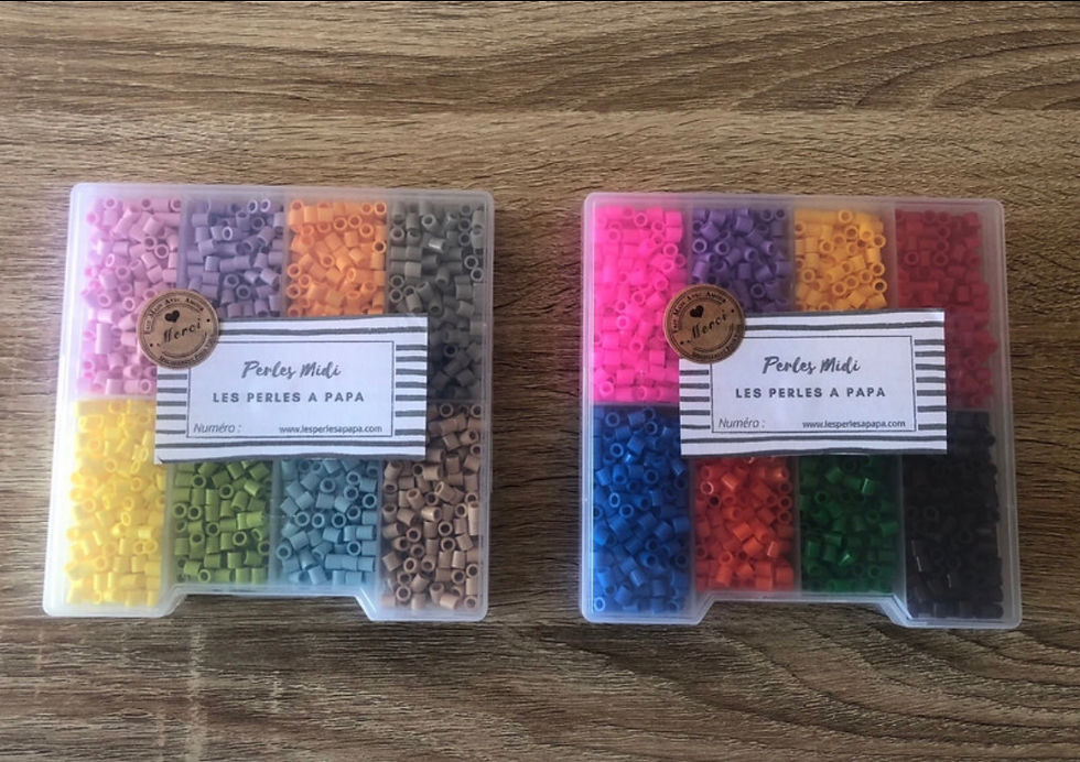 Lot de 2 Boites de Perles à Repasser