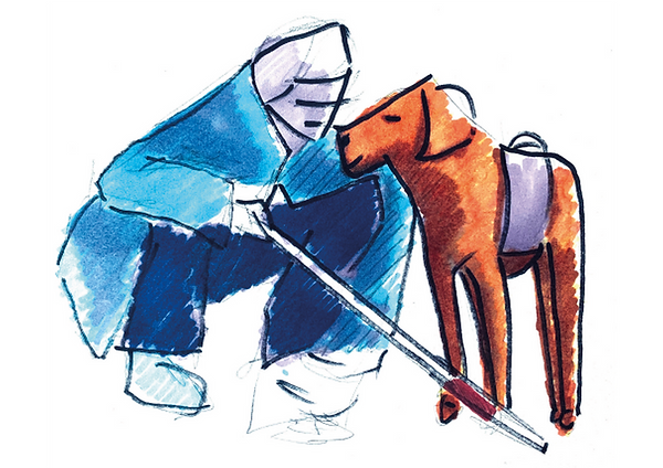 Pedigree Package -07.png