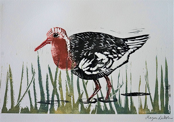 Ruff bird | Monotype