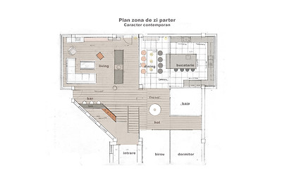 Living modern plan schita concept.jpg