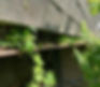 IMG_1907.jpeg