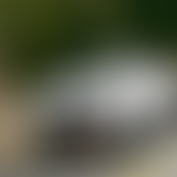 Why Forged Wheel Construction Matters for Philippine SUV Owners