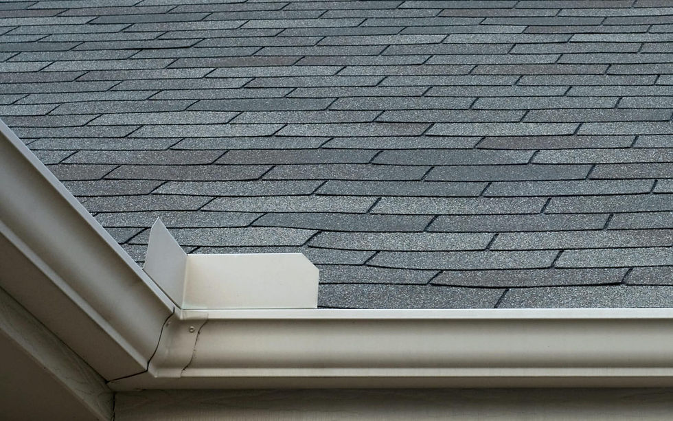 Gutter Splash Guard