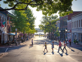 Best Flooring Options for Northern Virginia Homes: Durability Meets Design - Vivanco's Trim