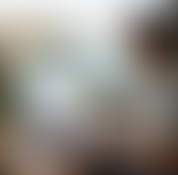 Honolulu SEO Company: What to Look For, Red Flags, and Why Location Should Not Limit Your Options