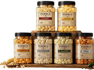 How Slaterock Automation Completed a Full Technical SEO Setup for Poprus on Wix Harmony