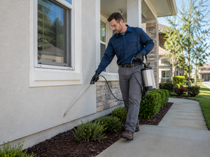 Pest control SEO helping an exterminator get more local service calls