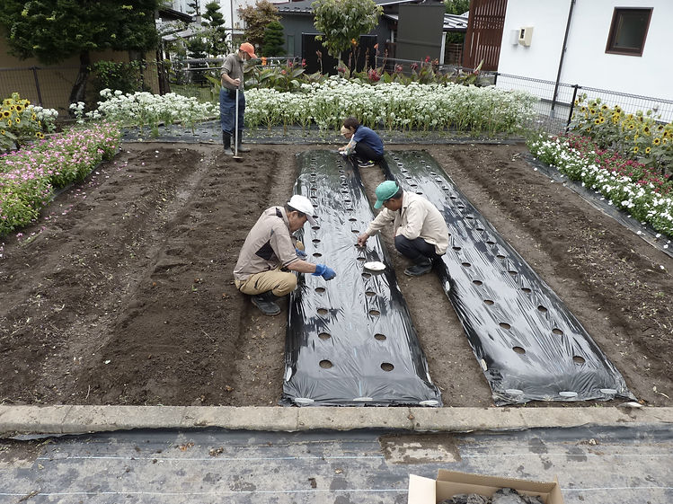 白寿会花壇ギャラリーへ