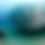 Thumbnail: Los Barriles Baja California Feb 15-22