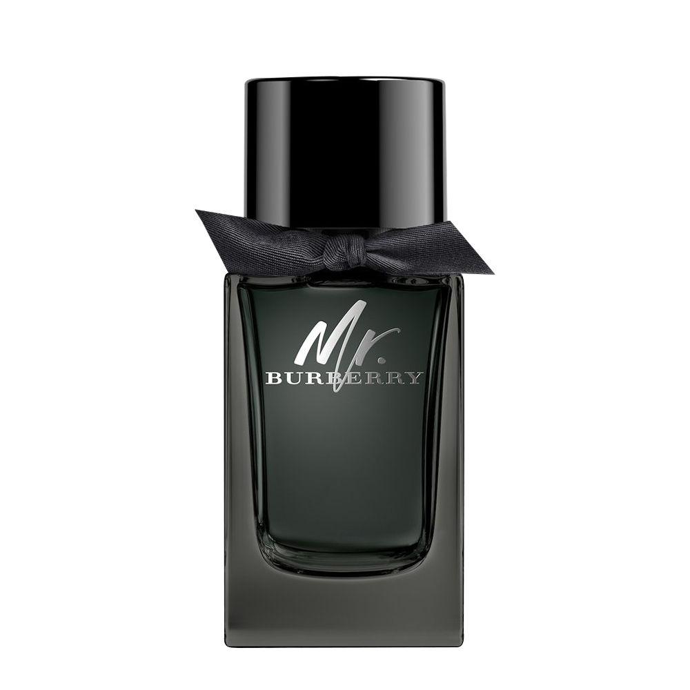 BURBERRY MR. BURBERRY MEN EDT 100ML TESTER