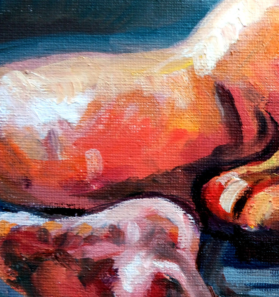 Miniatura: Protuberancias