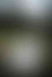 Mountain-forest-wedding-bride-groom