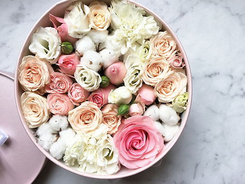 Florboxoxo.jpeg