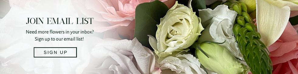 Florboxoxo our flower story about us online flower shop flower box flower story join our email list sign up