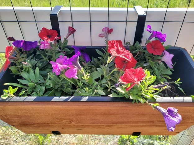 Red Purple Pink Petunias Fence Flower Planters Wooden Pottery Barn Fence Planters Handcrafted Lifestyle Blog