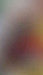 Fence Flower Planters Red Perennials Petunias Soil Transplants Planting Perennials Handcrafted Lifestyle Blog Pottery Barn Fence Planters