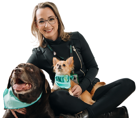 atendimento clinivet