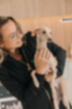 veterinária clinivet