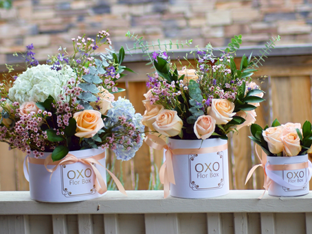 Florboxoxo | OXO Collection | Signature Flower Box