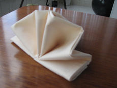 Origami de guardanapo Sol da Manhã, imitando raios de sol.
