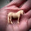 Thumbnail: Micro Damson - Motherly Highland Pony Mare