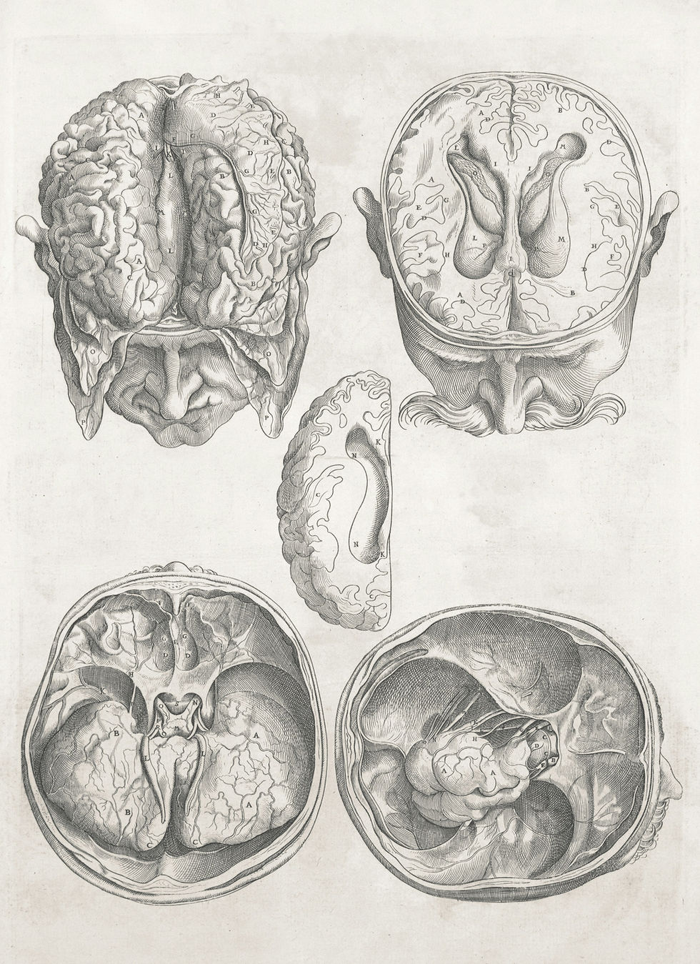 Why Our Brains Romanticize the Past More Than the Future