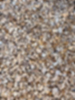 CORAL 20MM.jpg