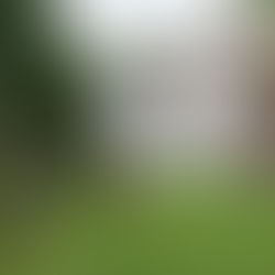 From Roman Ruins to Wreath-Making: A Banner Year for Innerpeffray Library