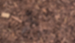 MULCH BARK.jpg