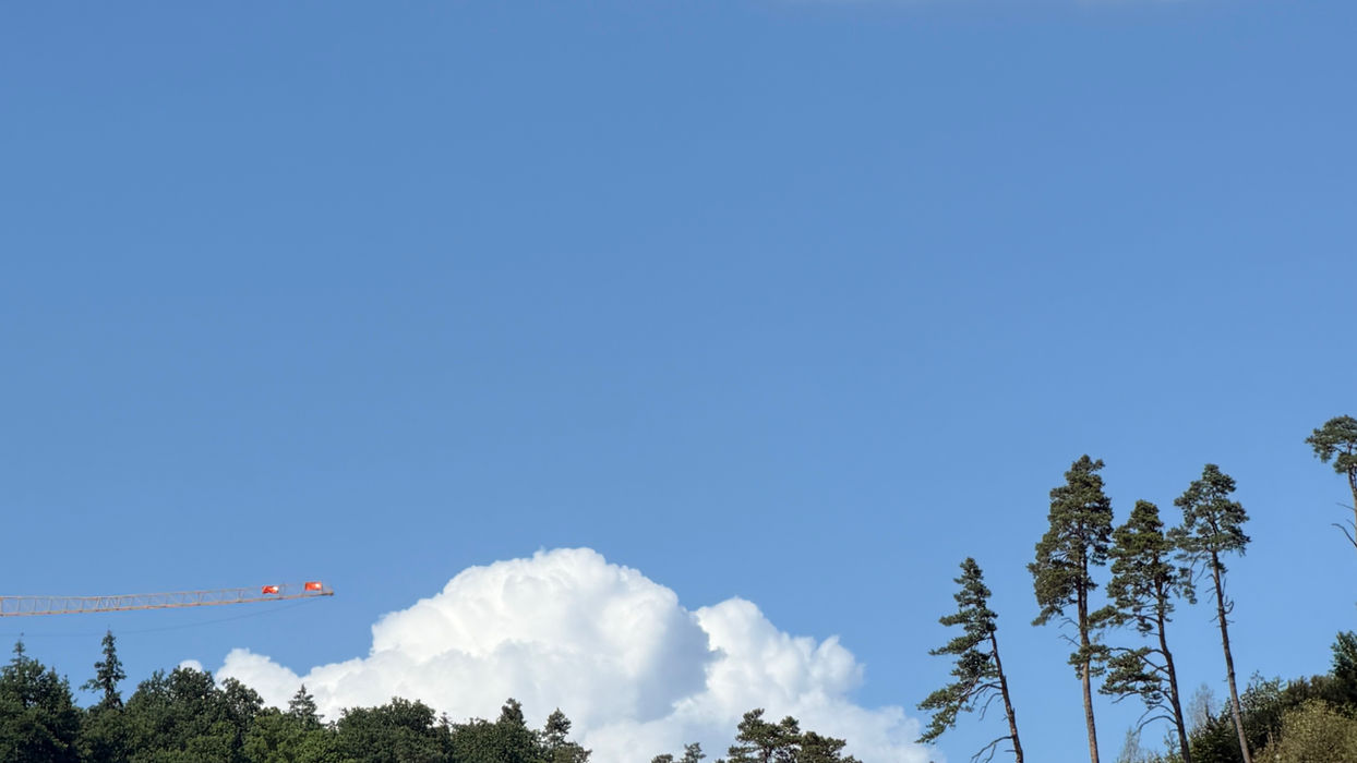 Wolkenhimmel über Baumkronen im Jura – Motivsuche während der Malresidenz 2026