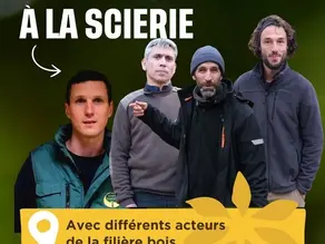 portraits des personnes de la filières bois