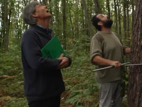 Cœur de Forêt vous fait un petit coucou dans le JT de France 2
