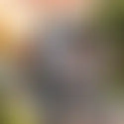 Man being pushed in aWhelchair