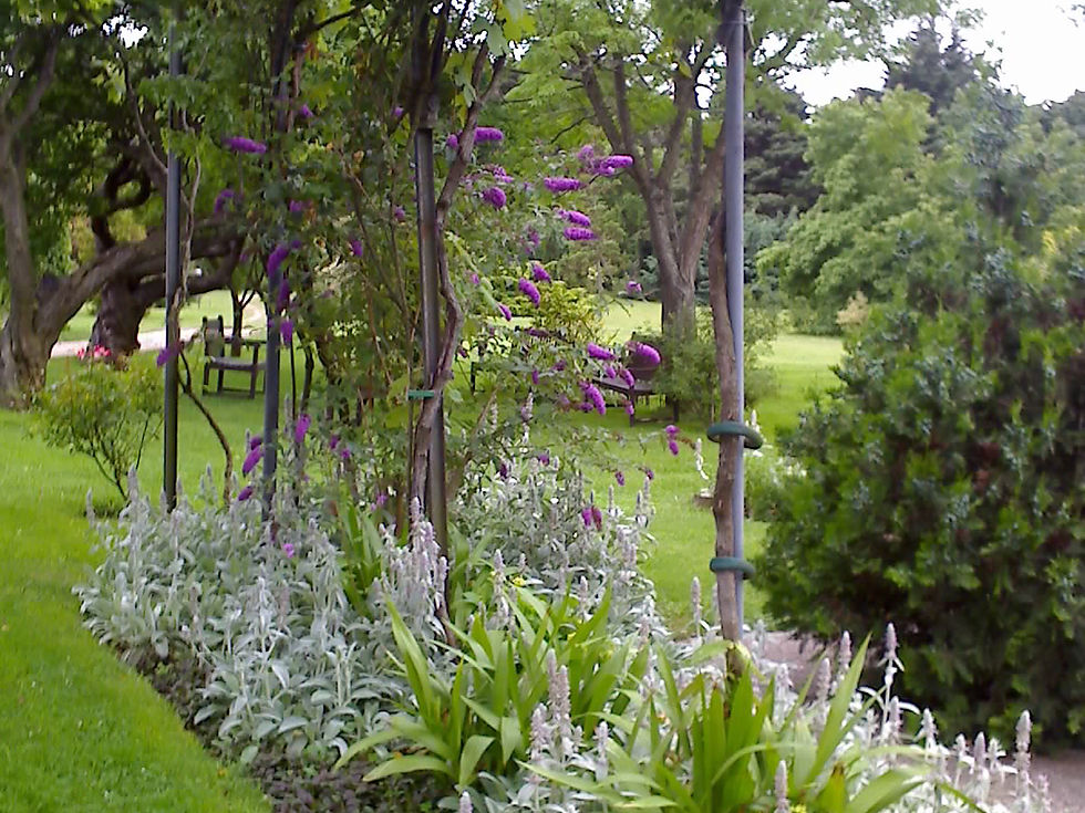 en sombra