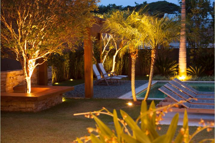 jardin iluminado