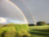 IMG_2616.jpeg