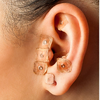 Auricilothérapie Franck Bordier 02100