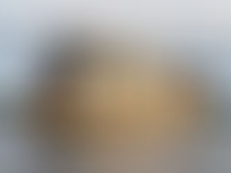 Pink Dolphins and Sunsets Along the Amazon