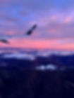 new zealand 4.jpg