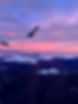 new zealand 4.jpg