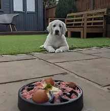 River Puppy Raw Diet.webp