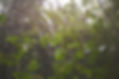 DSCF3735.JPG