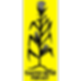 Toasted Sister Podcast