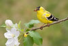 shutterstock_2283341203.jpg