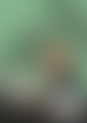 Suzanne: functie elders...