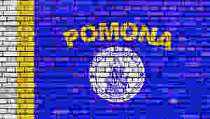 Pomona welcomes licensed cannabis operations in 2019